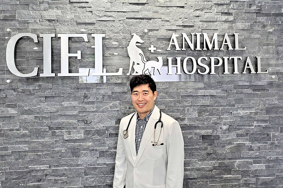 Ciel Animal Hospital