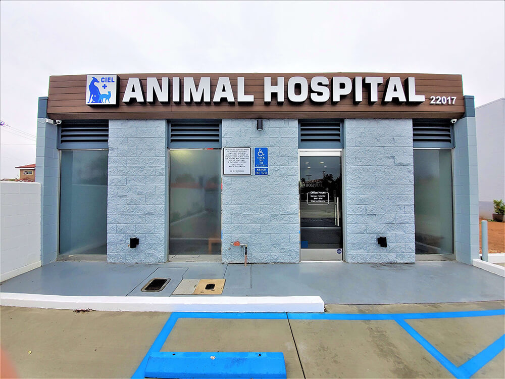 ciel-animal-hospital