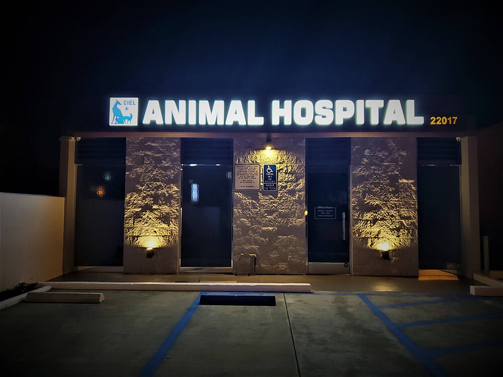 ciel-animal-hospital